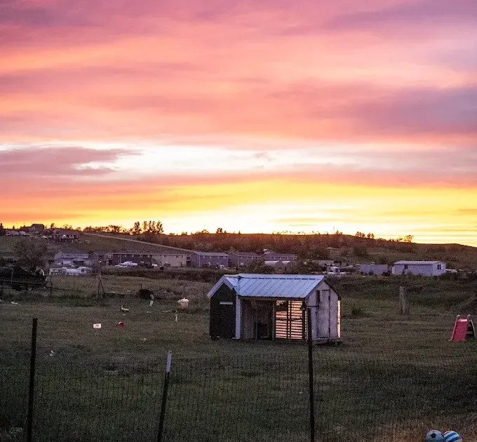 Rural campsite with a small shelter at sunset